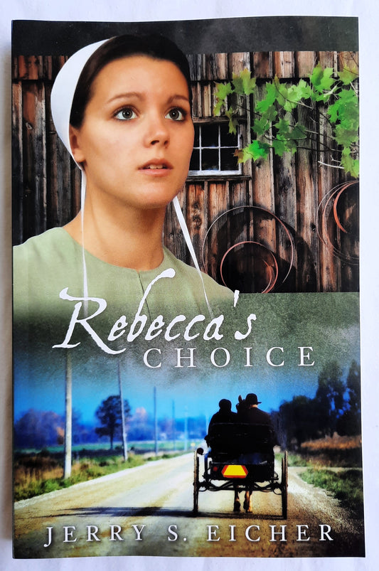 Rebecca's Choice by Jerry S. Eicher (Adams County Trilogy #3, New, 2010, Pbk, 291 pages, Harvest House)