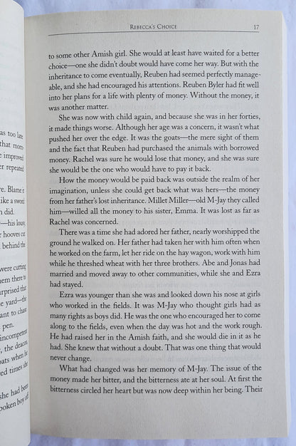 Rebecca's Choice by Jerry S. Eicher (Adams County Trilogy #3, New, 2010, Pbk, 291 pages, Harvest House)