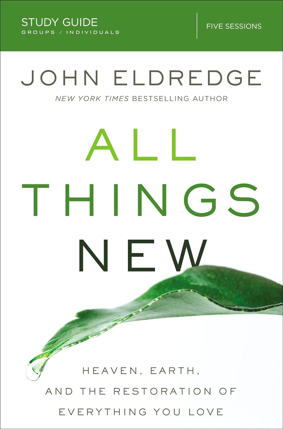 All Things New Study Guide: Heaven, Earth, and the Restoration of Everything you Love by John Eldredge (New, Pbk, 2017, Nelson Bks)