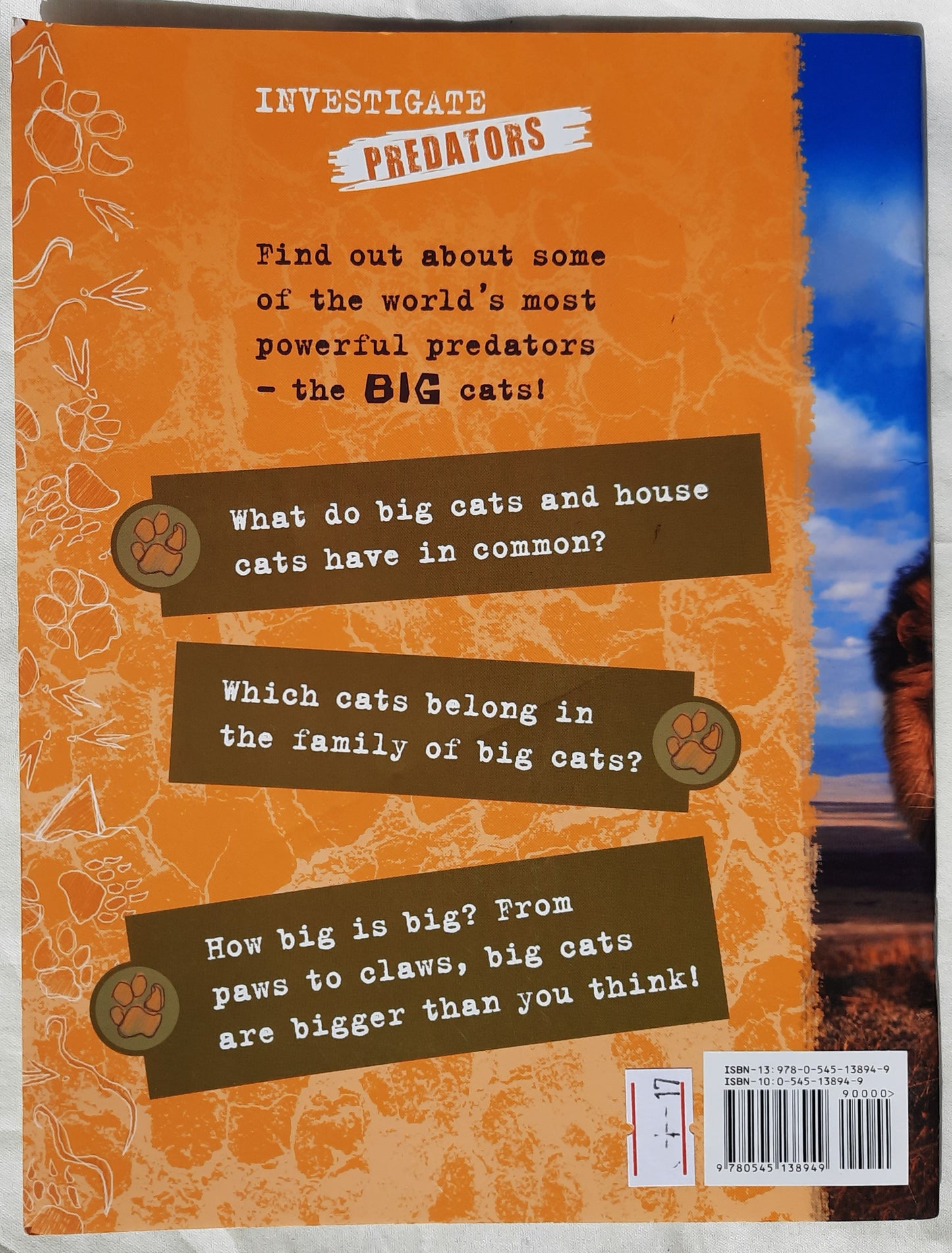 Investigate Predators: Big Cats by Lynette Evans (Good, 2008, Scholastic, 28 pgs)