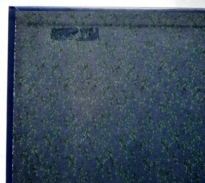 She Believed: 12 Stories of Courageous Women of Faith Who Changed the World by Jean Fischer (New, 2020, HC, 32 pages, Shiloh Kidz)