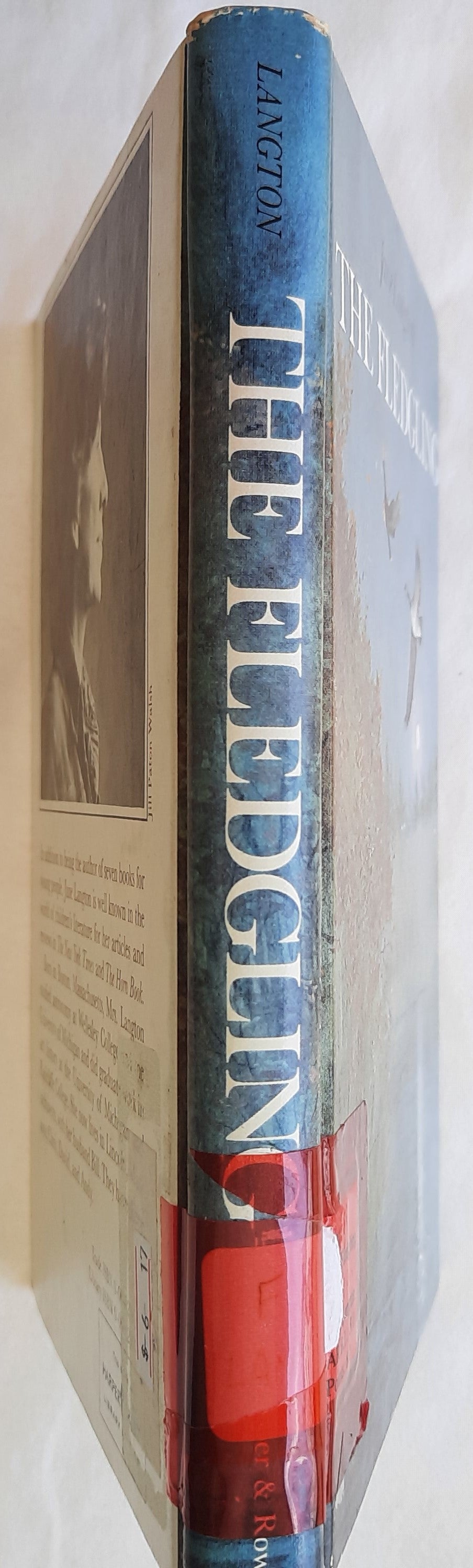 The Fledgling #4 by Jane Langton (Hall Family Chronicles, Good, 1980, HC, 182 pages, Harper & Row)