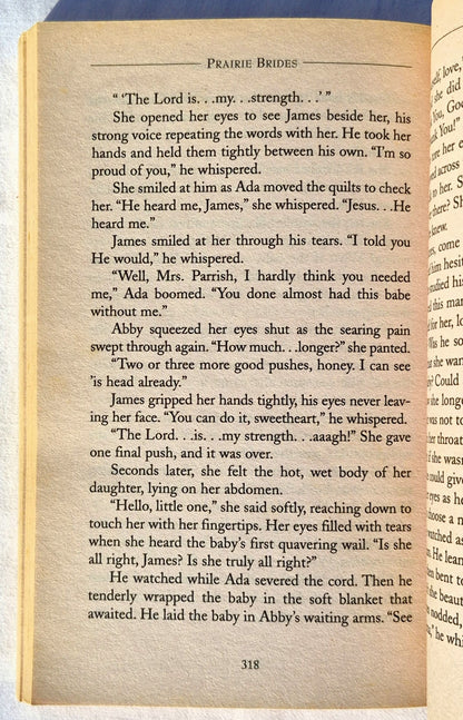 Prairie Brides von Linda Ford; Linda Goodnight; JoAnn A. Grote; Amy Rognlie (Gut, 2000, Taschenbuch, 343 Seiten, Barbour)