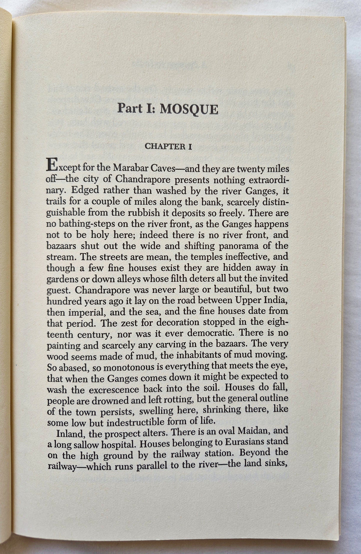 A Passage to India von E.M. Forster (Sehr gut, 1984, TB, 316 Seiten, Harvest/HBJ Book)