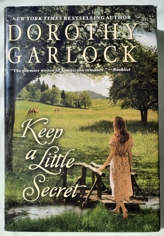 Keep a Little Secret by Dorothy Garlock (Tucker Family #2, Very good, 2011, HC, 514 pages, Doubleday Large Print)