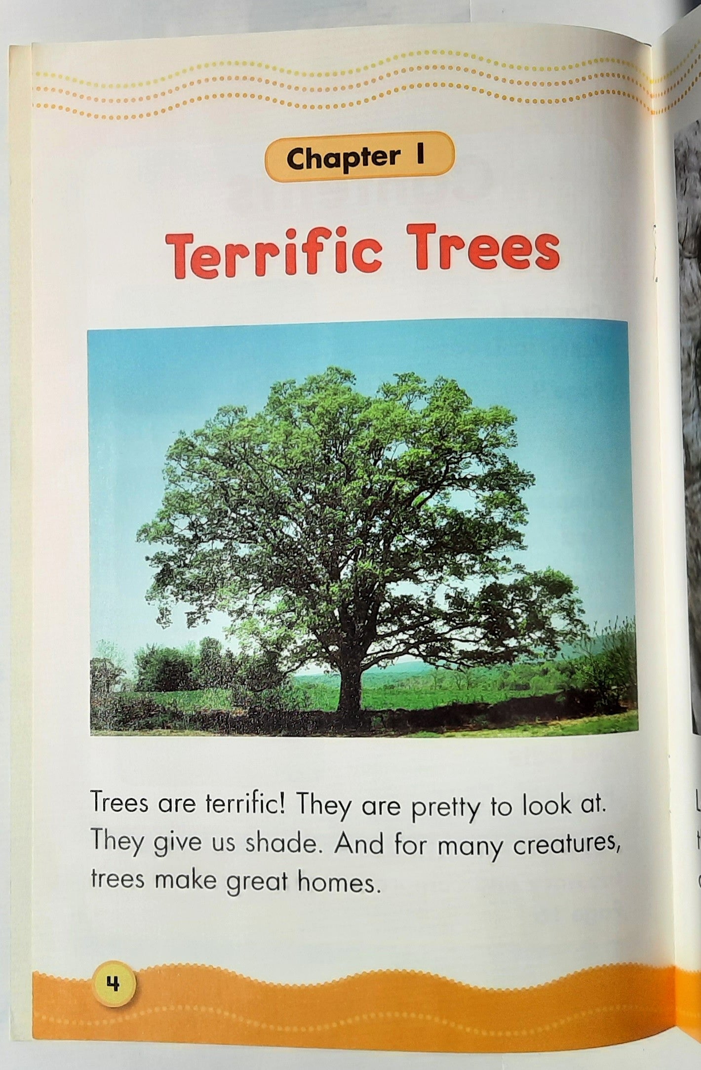 Science Vocabulary Readers: Tree Homes by Carol Ghiglieri (Very good, 2007, Pbk, 16 pages, Scholastic)