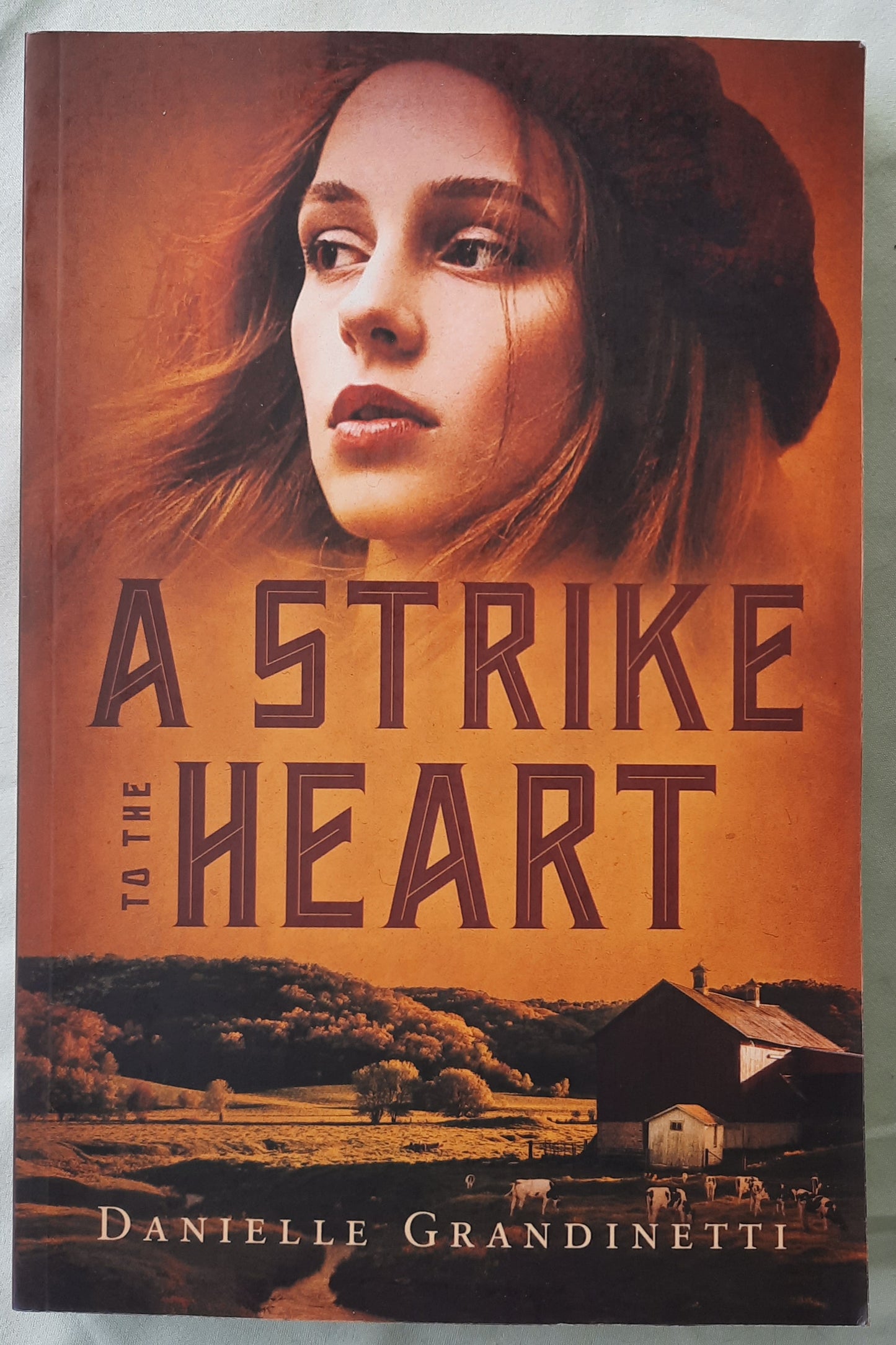 A Strike to the Heart #2 by Danielle Grandinetti (New, 2022, Pbk, 259 pages, Iron Stream Fiction)