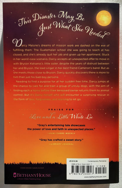 Love and the Silver Lining #2 by Tammy L. Gray (State of Grace series, New, 2021, Pbk, 384 pages, Bethany House)