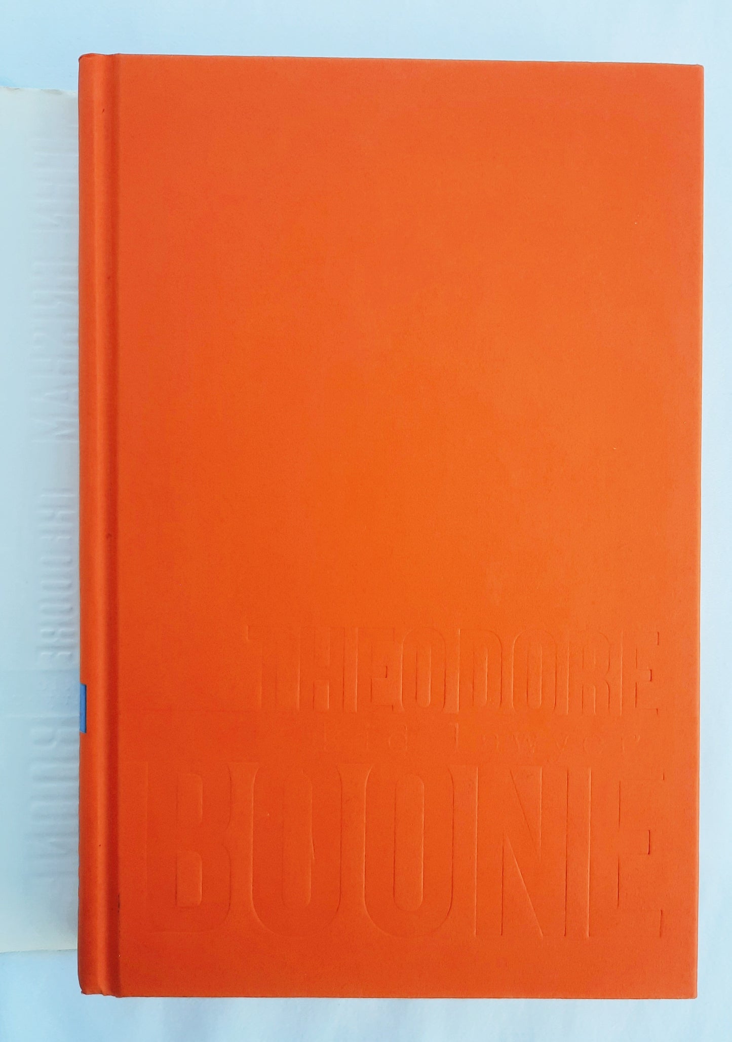 Theodore Boone: Der junge Anwalt von John Grisham (Wie neu, 2010, gebunden, 263 Seiten, Dutton)