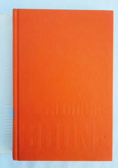 Theodore Boone: Der junge Anwalt von John Grisham (Wie neu, 2010, gebunden, 263 Seiten, Dutton)
