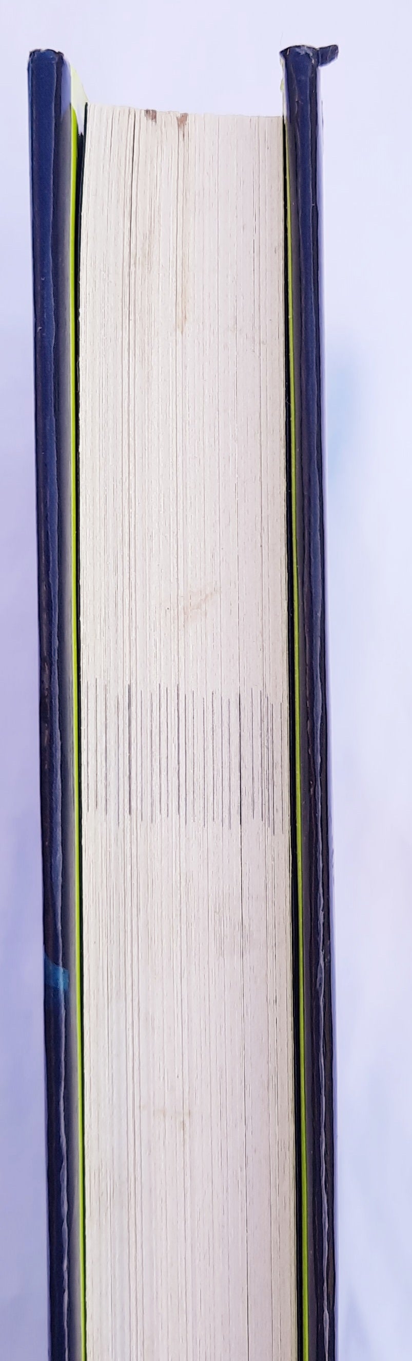 Theodore Boone: Der junge Anwalt von John Grisham (Wie neu, 2010, gebunden, 263 Seiten, Dutton)