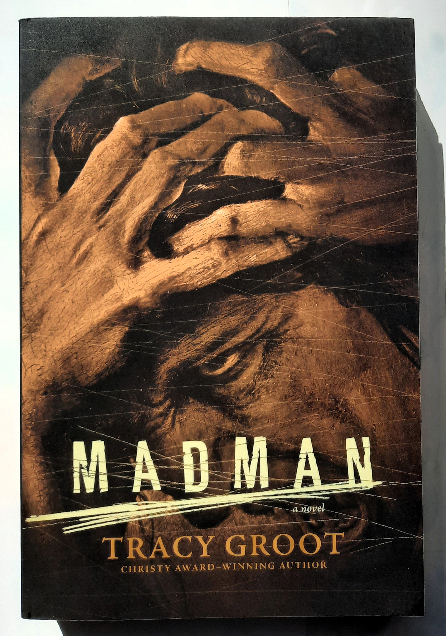 Madman by Tracy Groot (New, 2017, Pbk, 397 pages, Tyndale Fiction)