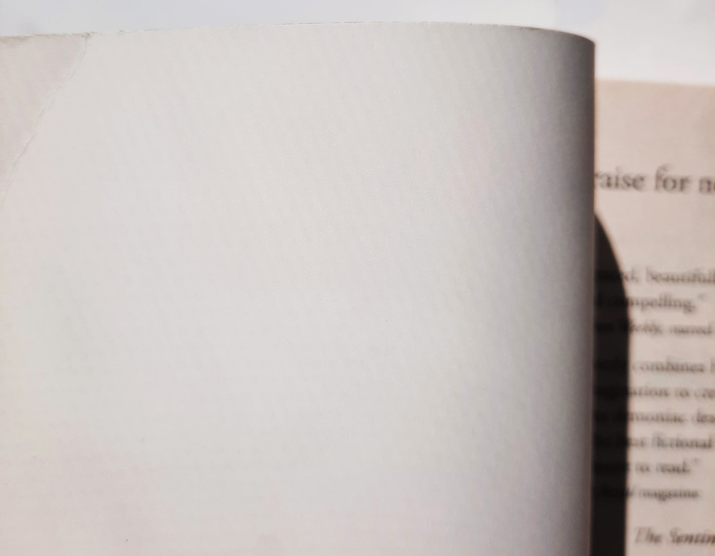 Madman by Tracy Groot (New, 2017, Pbk, 397 pages, Tyndale Fiction)