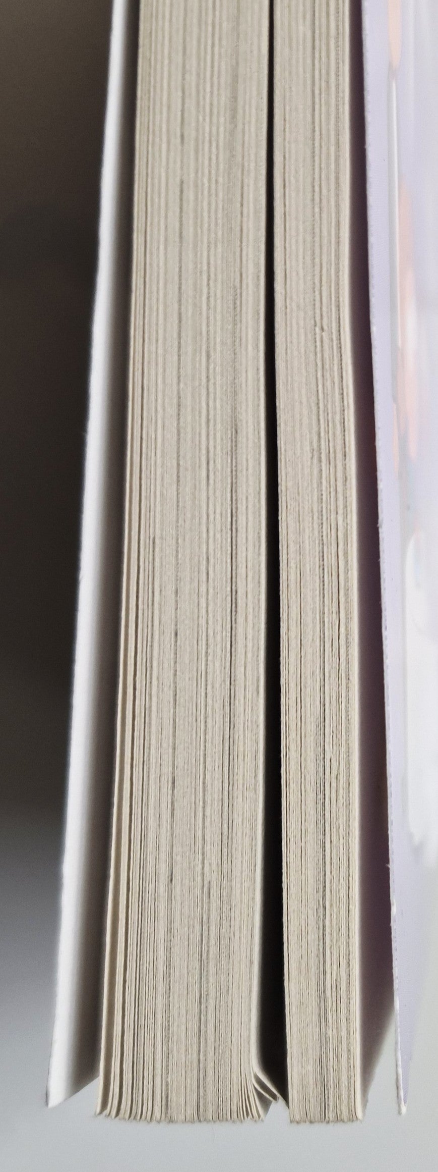 My Weird School Fast Facts: Pizza, Peanut Butter, and Pickles by Dan Gutman (New, 2019, Pbk, 208 pages, Scholastic)