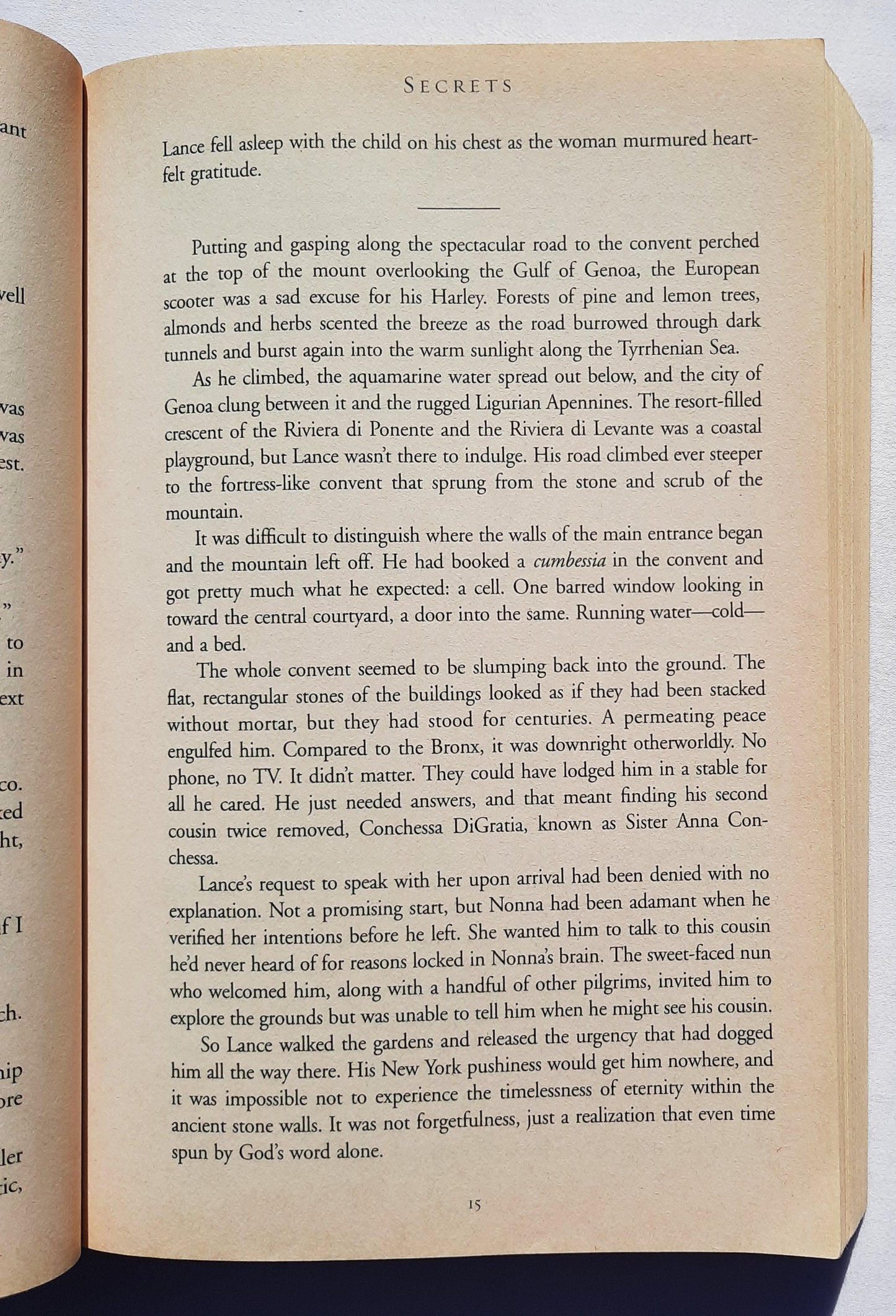 Secrets by Kristen Heitzmann (Michelli Family #1, Good, 2004, Pbk, 416 pages, Bethany House)