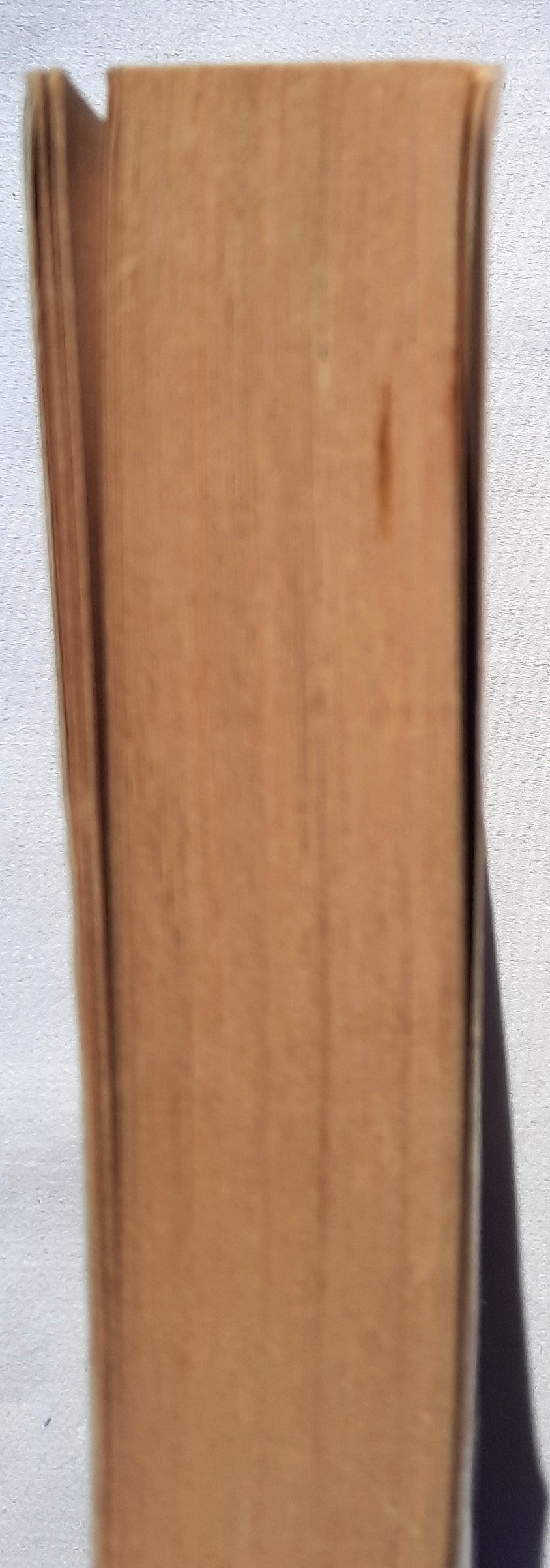 Secrets by Kristen Heitzmann (Michelli Family #1, Good, 2004, Pbk, 416 pages, Bethany House)