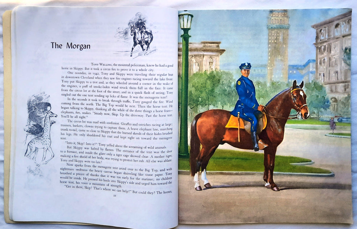 Album der Pferde von Marguerite Henry; Wesley Dennis (Sehr gut, 1994, Taschenbuch, 110 Seiten, Scholastic)
