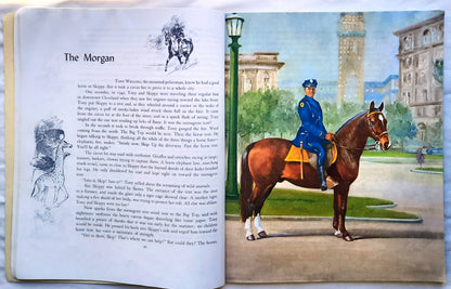 Album der Pferde von Marguerite Henry; Wesley Dennis (Sehr gut, 1994, Taschenbuch, 110 Seiten, Scholastic)