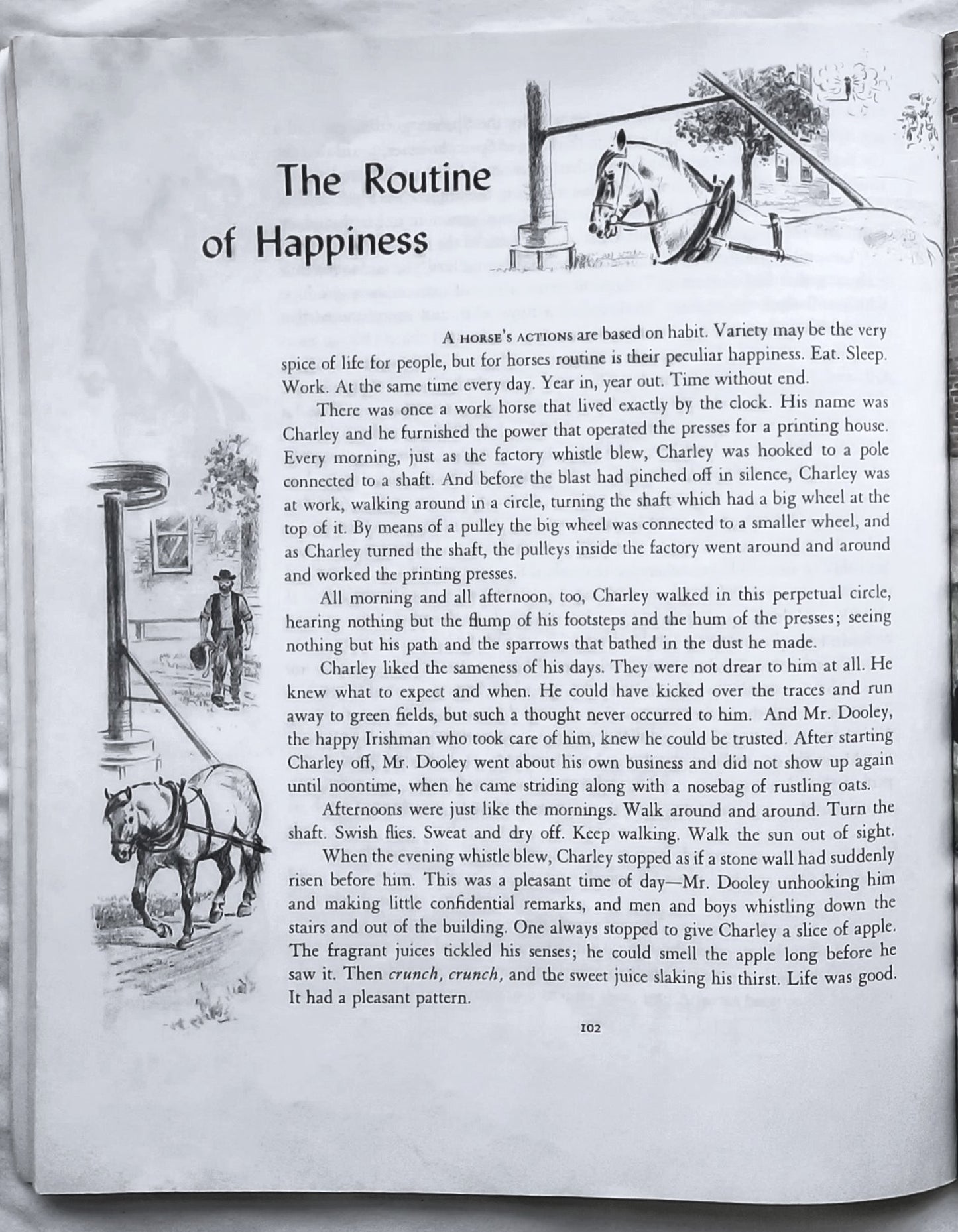 Album der Pferde von Marguerite Henry; Wesley Dennis (Sehr gut, 1994, Taschenbuch, 110 Seiten, Scholastic)