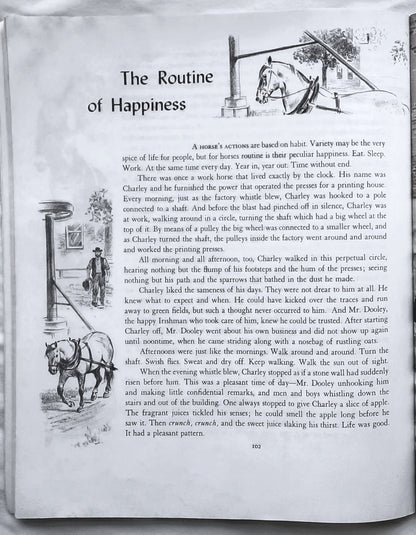 Album der Pferde von Marguerite Henry; Wesley Dennis (Sehr gut, 1994, Taschenbuch, 110 Seiten, Scholastic)