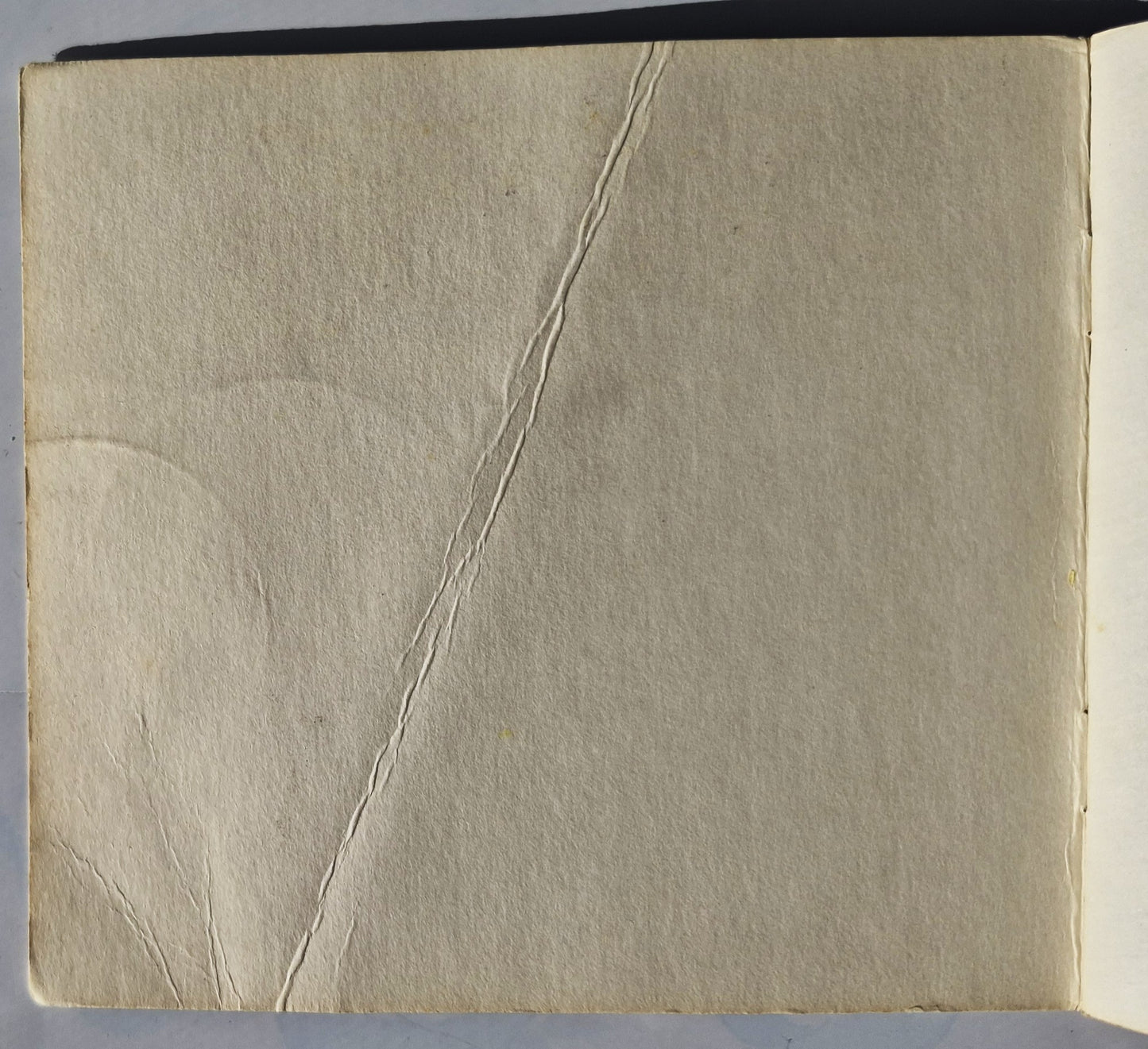 TMNT: The First Battle by Crystal Herman; Larry Daste (Good, 1990, Pbk, 31 pages, Mirage Studios)