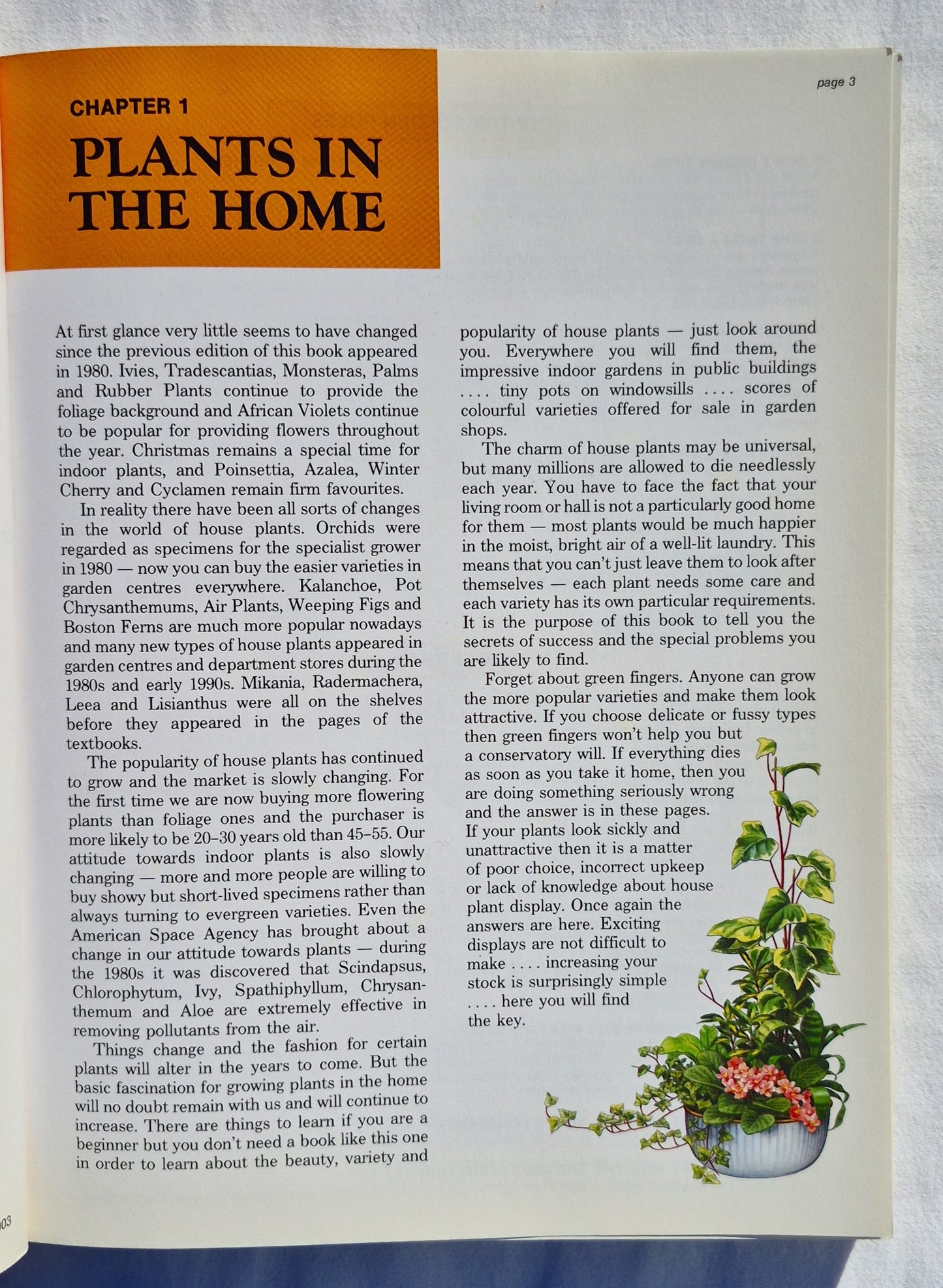 The House Plant Expert von D. G. Hessayon (Sehr gut, 2003, Pbk, 256 Seiten, Expert Books)