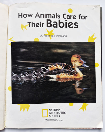 How Animals Care for Their Babies von Roger B. Hirschland (Gut, 1996, Taschenbuch, 32 Seiten, National Geographic Society)