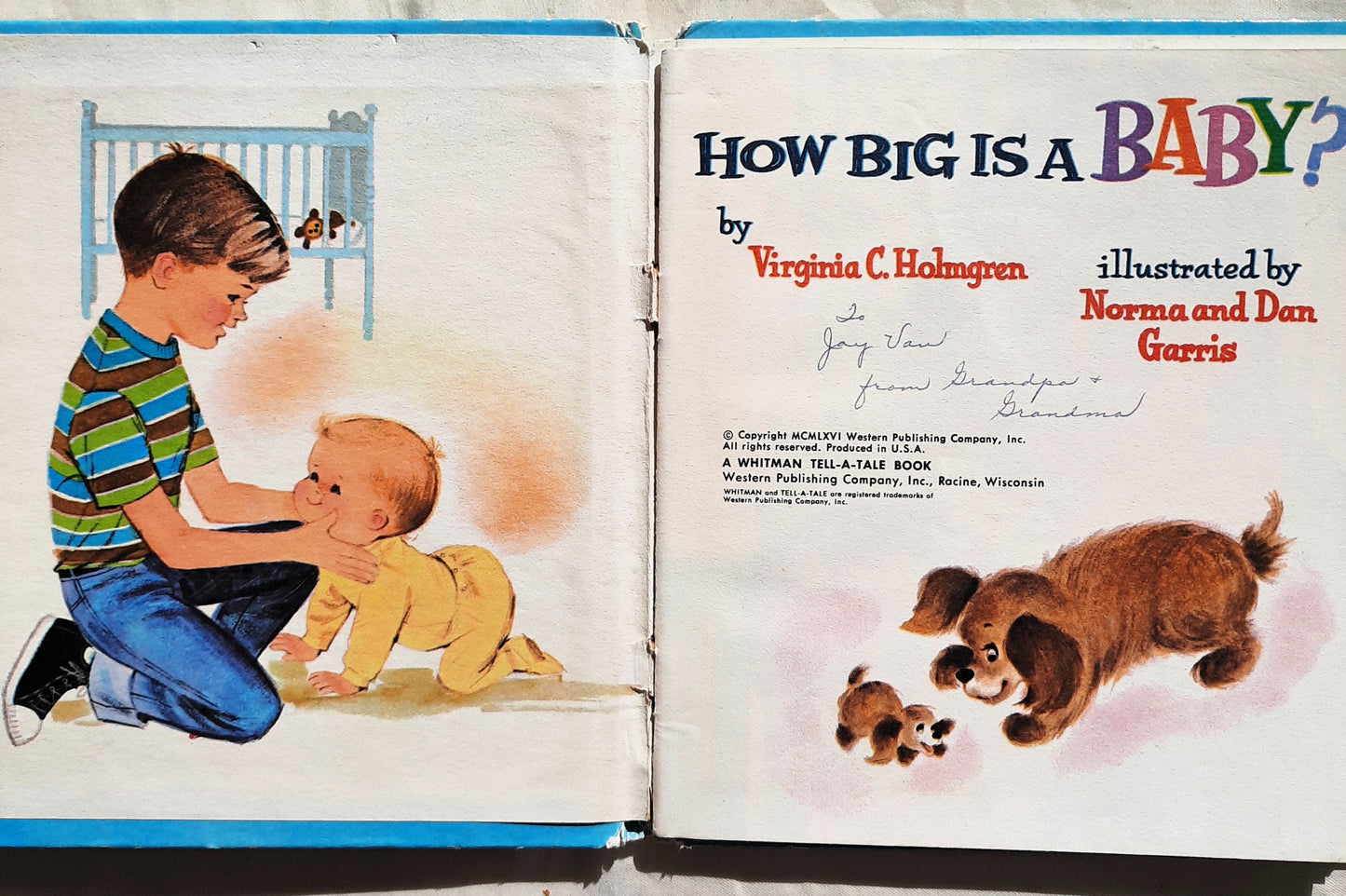 How Big Is a Baby? by Virginia C. Holmgren; Norma & Dan Garris (Good, 1966, HC, Western Publishing Tell-A-Tale Books)