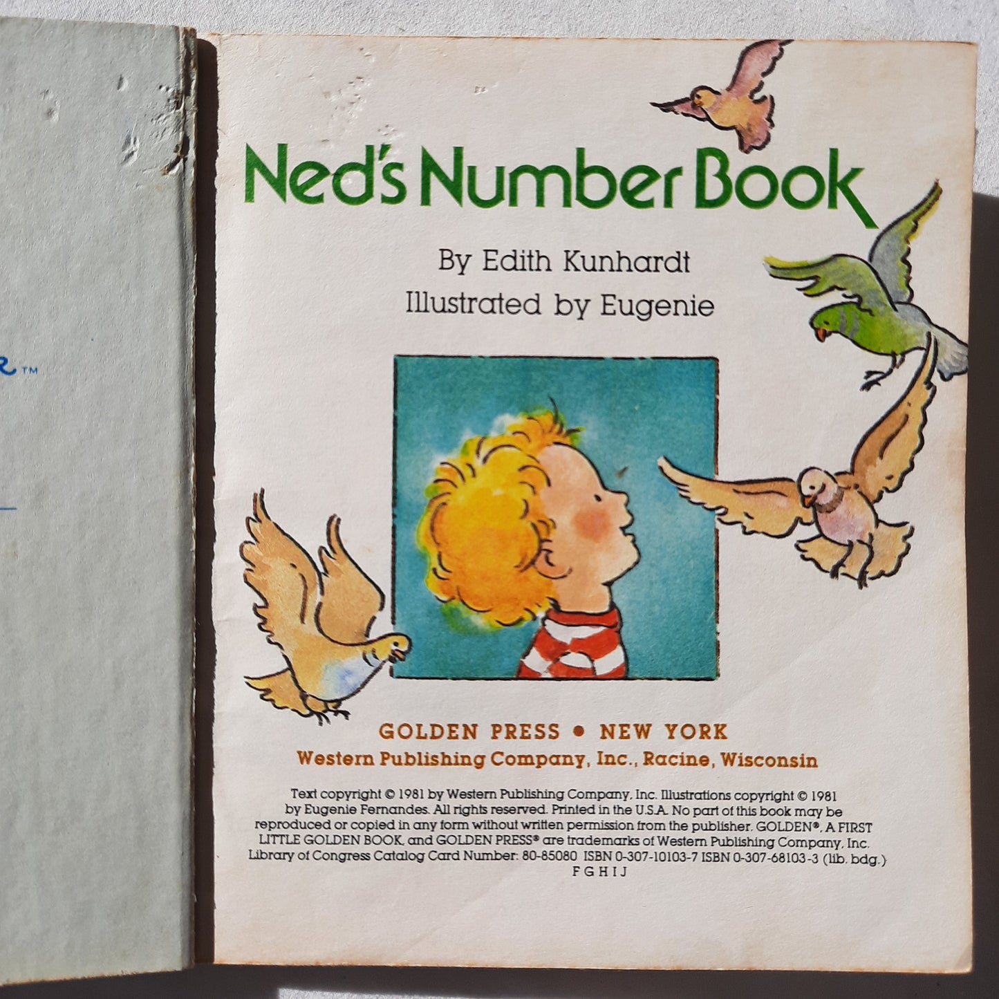 Ned's Number Book by Edith Kunhardt (Good, 1981, HC, 24 pages, First Little Golden Book)