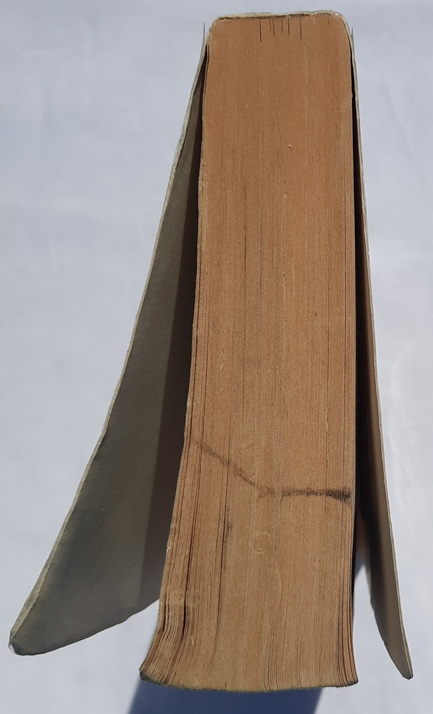 Nicolae by Tim LaHaye; Jerry Jenkins (Left Behind #3, Good, 1998, Pbk, 432 pages, Tyndale House)