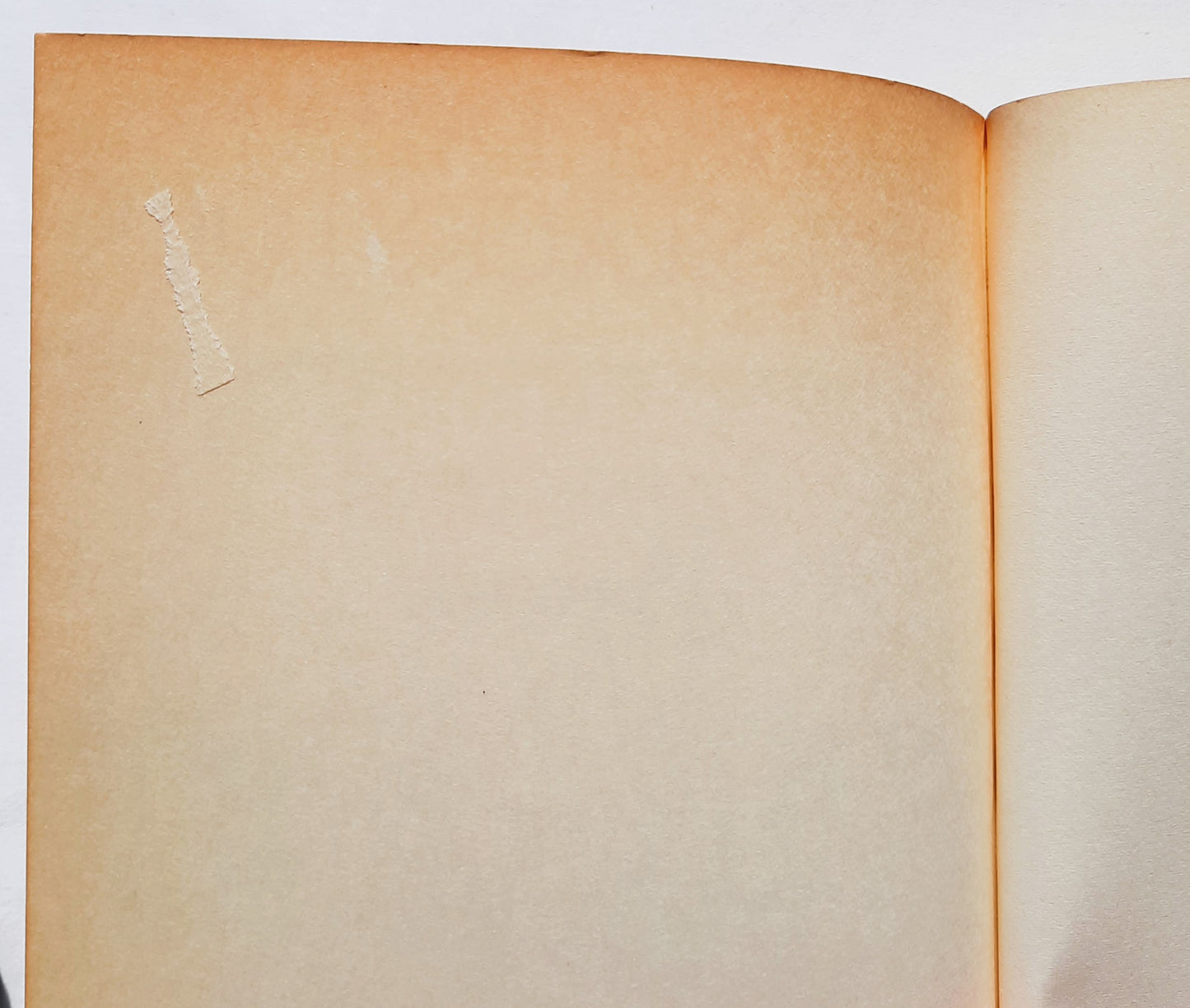 Times and Seasons & Season of Blessings by Beverly LaHaye Terri Blackstock (Seasons #3 #4, New, 2010, Pbk, 731 pages, Zondervan)