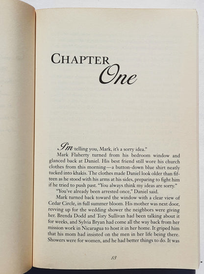 Times and Seasons & Season of Blessings by Beverly LaHaye Terri Blackstock (Seasons #3 #4, New, 2010, Pbk, 731 pages, Zondervan)