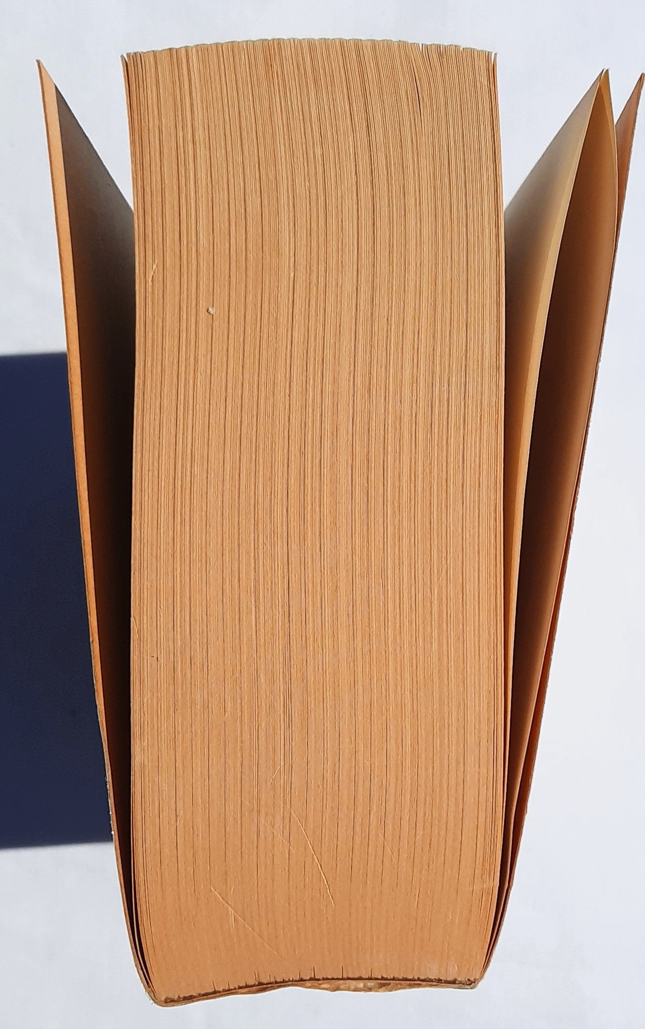 Times and Seasons & Season of Blessings by Beverly LaHaye Terri Blackstock (Seasons #3 #4, New, 2010, Pbk, 731 pages, Zondervan)