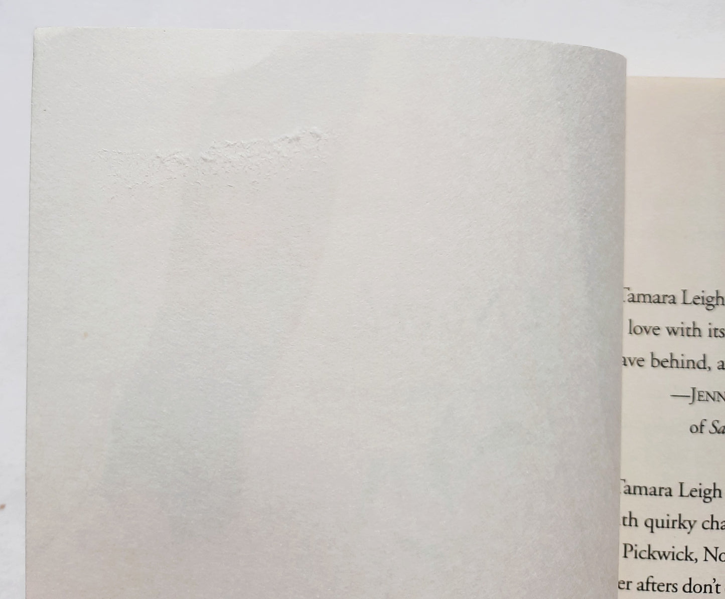 Restless in Carolina #3 by Tamara Leigh (Southern Discomfort, Very good, 2011, PBK, 352 pages, Multnomah Books)