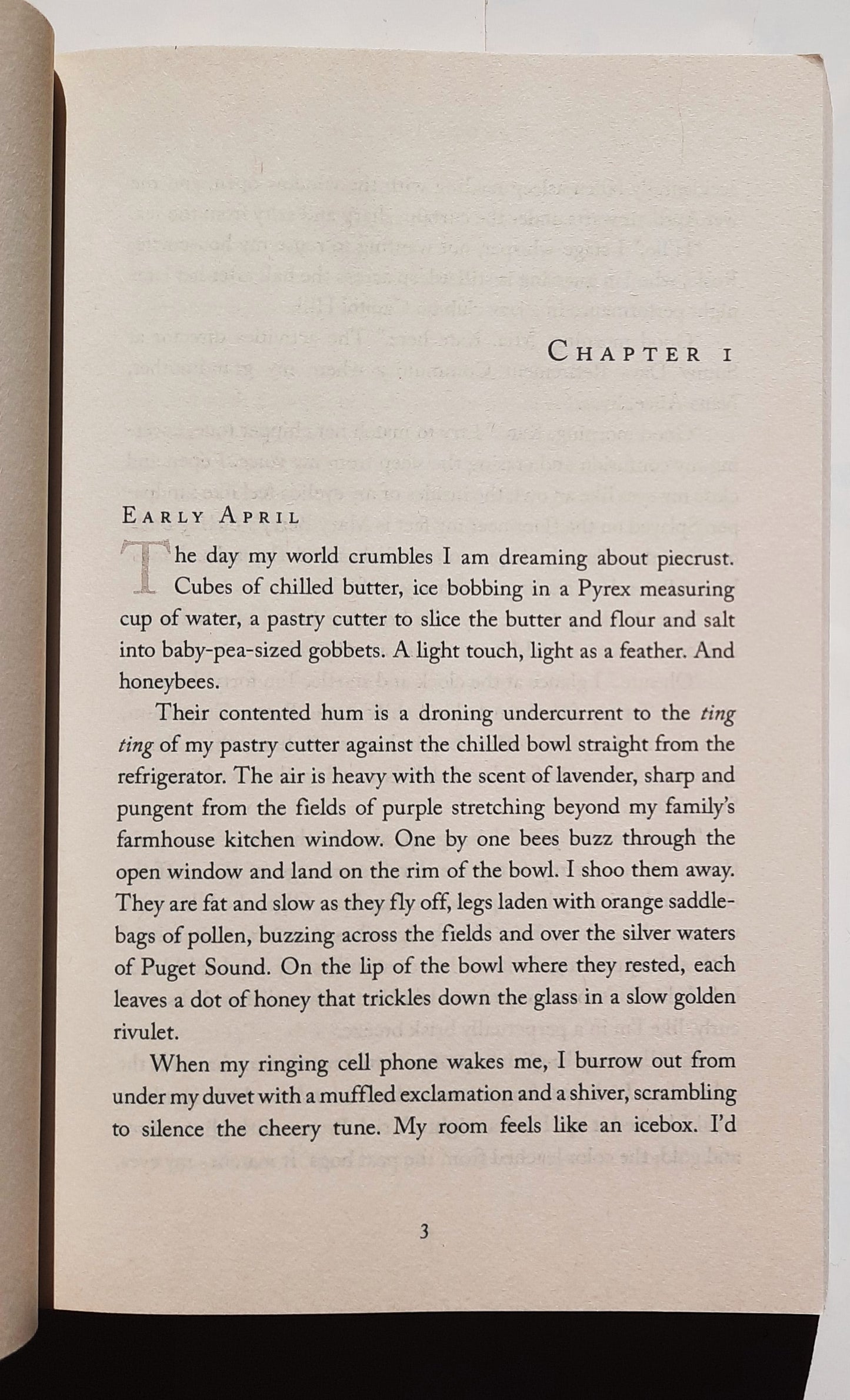 The Enlightenment of Bees by Rachel Linden (New, 2019, Pbk, 336 pages, Thomas Nelson)