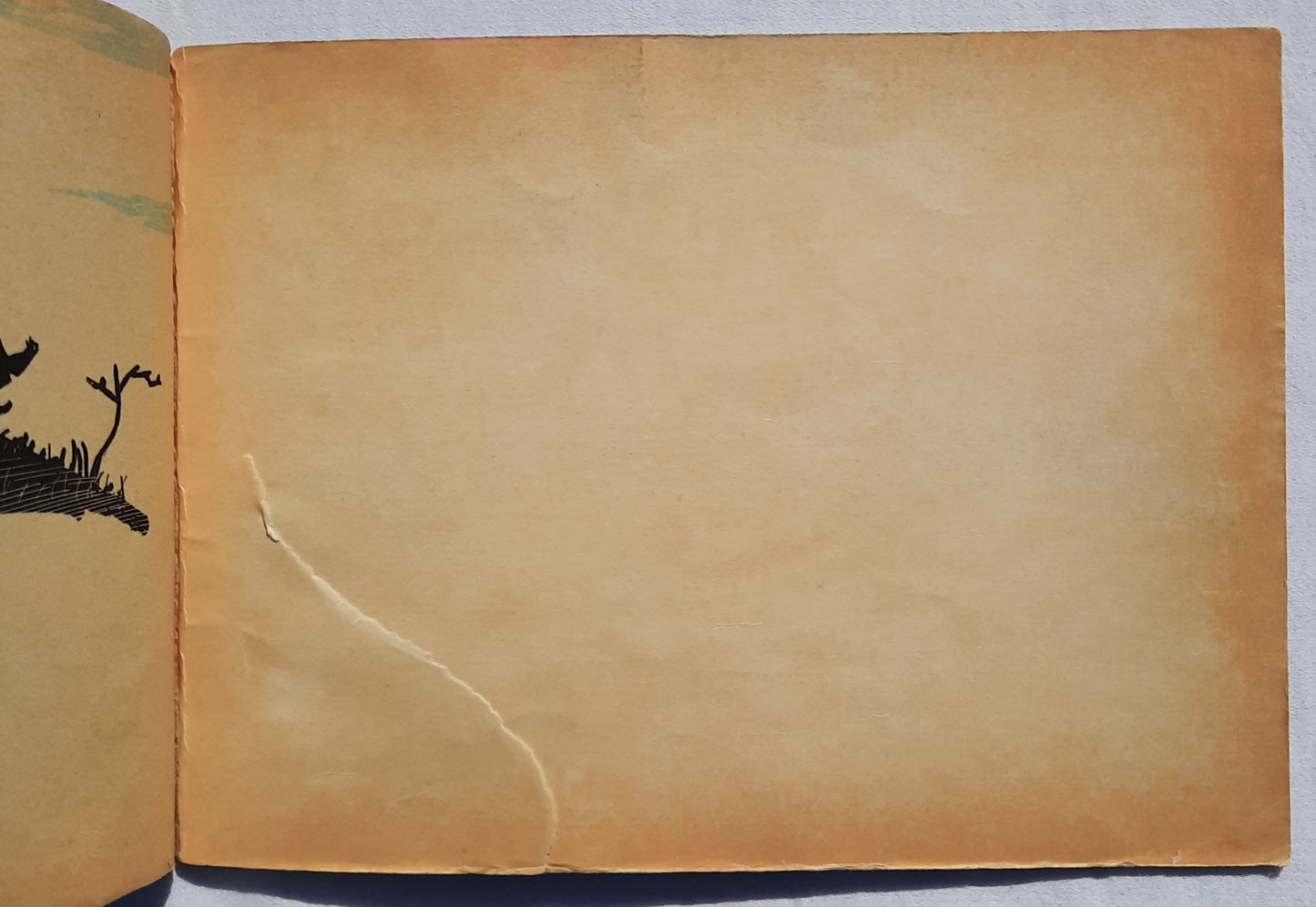 The Magic Fish by Freya Littledale (Good, 1967, Pbk, 32 pages, Scholastic)