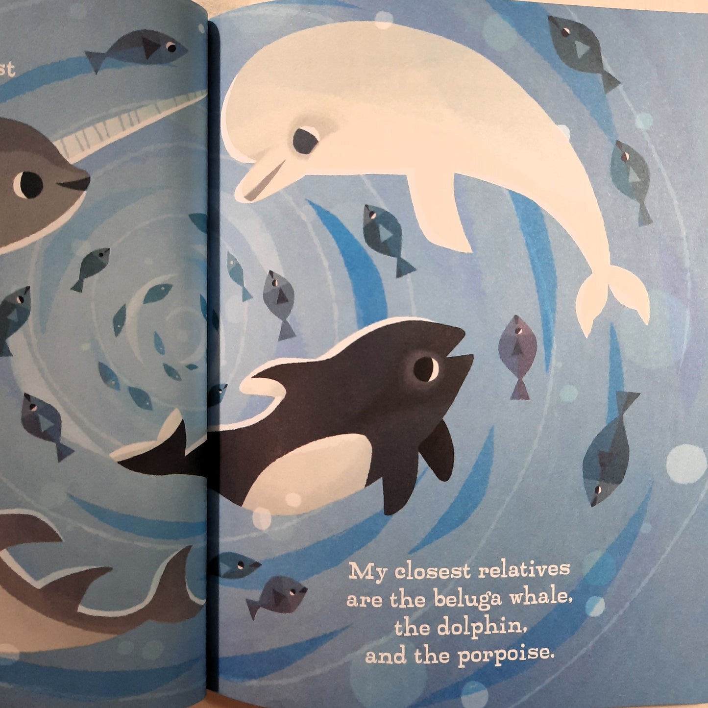 I'm a Narwhal by Mallory Loehr (Very good, HC, 2019, Little Golden Book, 24 pages)
