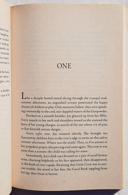 James's Joy von Loree Lough (Neu, 2013, Taschenbuch, 144 Seiten, Whitaker House)