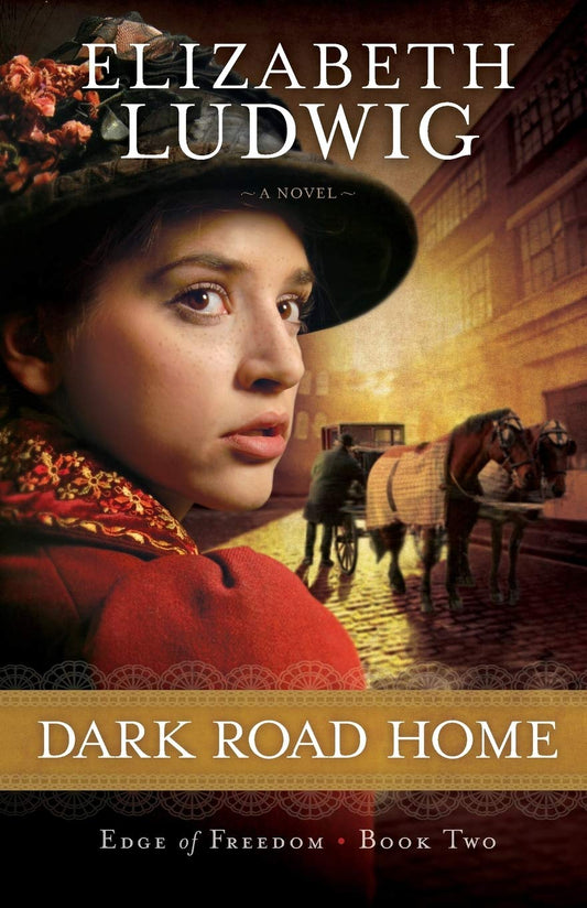 Dark Road Home #2 by Elizabeth Ludwig (Edge of Freedom, New, 2013, Pbk, 341 pages, Bethany House)