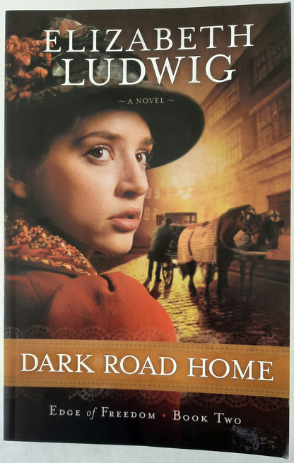 Dark Road Home #2 by Elizabeth Ludwig (Edge of Freedom, New, 2013, Pbk, 341 pages, Bethany House)