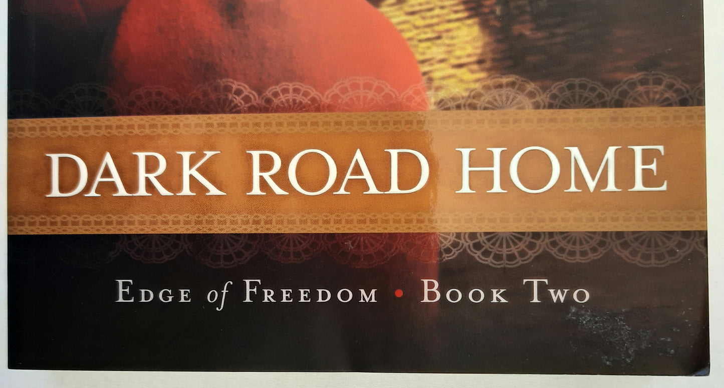 Dark Road Home #2 by Elizabeth Ludwig (Edge of Freedom, New, 2013, Pbk, 341 pages, Bethany House)