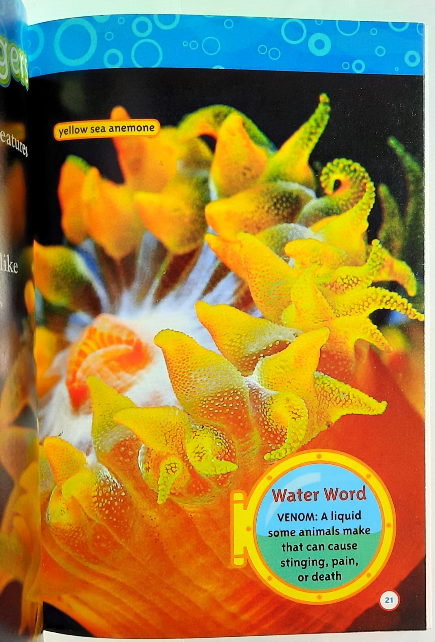 National Geographic Kids: Weird Sea Creatures by Laura Marsh (New, 2012, Pbk, 32 pages, Scholastic)