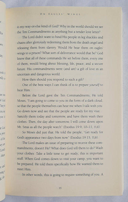 The Tender Commandments by Ron Mehl (Very good, 1998, Pbk, 259 pages, Multnomah)