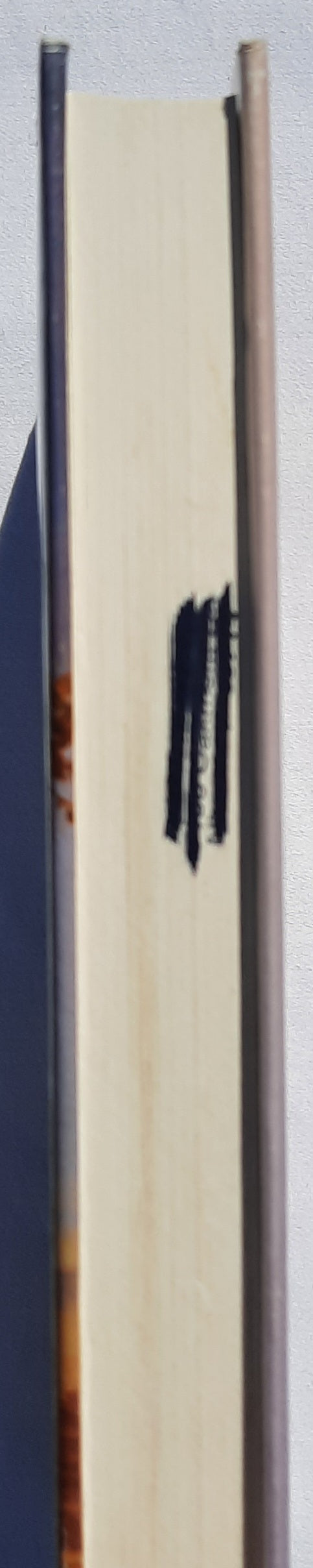 A City Not Forsaken #3 by Lynn Morris; Gilbert Morris (Cheney Duvall, M.D. Very good, 1995, HC, 335 pages, Bethany House)