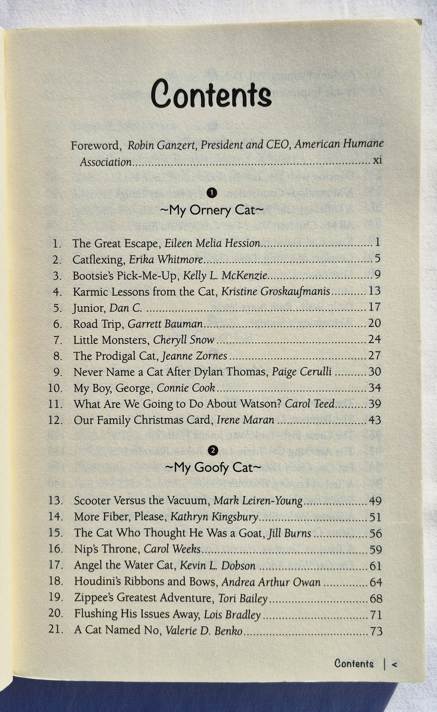 My Very Good, Very Bad Cat von Amy Newmark (Chicken Soup for the Soul Publishing, sehr gut, 2016, Pbk, 371 Seiten)