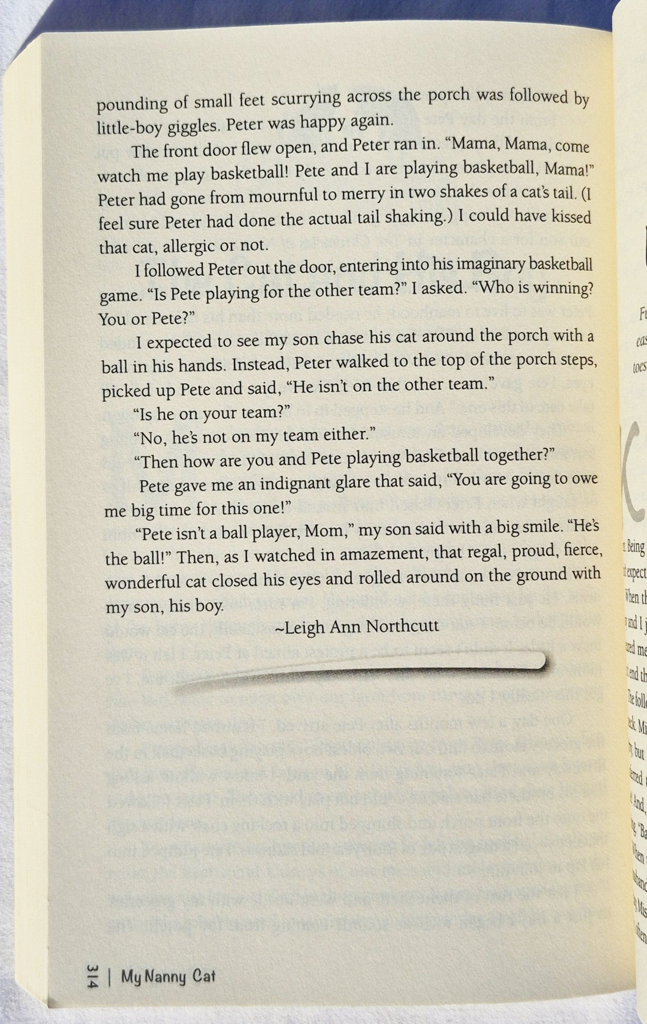 My Very Good, Very Bad Cat von Amy Newmark (Chicken Soup for the Soul Publishing, sehr gut, 2016, Pbk, 371 Seiten)
