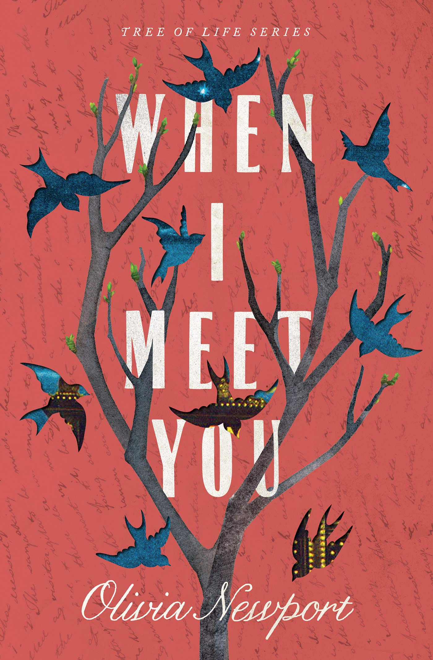When I Meet You by Olivia Newport (Tree of Life #3, New, 2020, Pbk, 256 pages, Barbour)