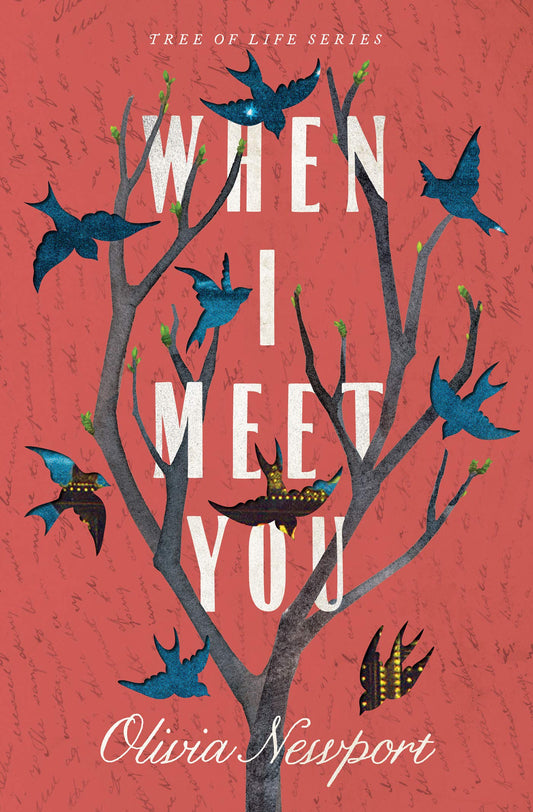 When I Meet You by Olivia Newport (Tree of Life #3, New, 2020, Pbk, 256 pages, Barbour)
