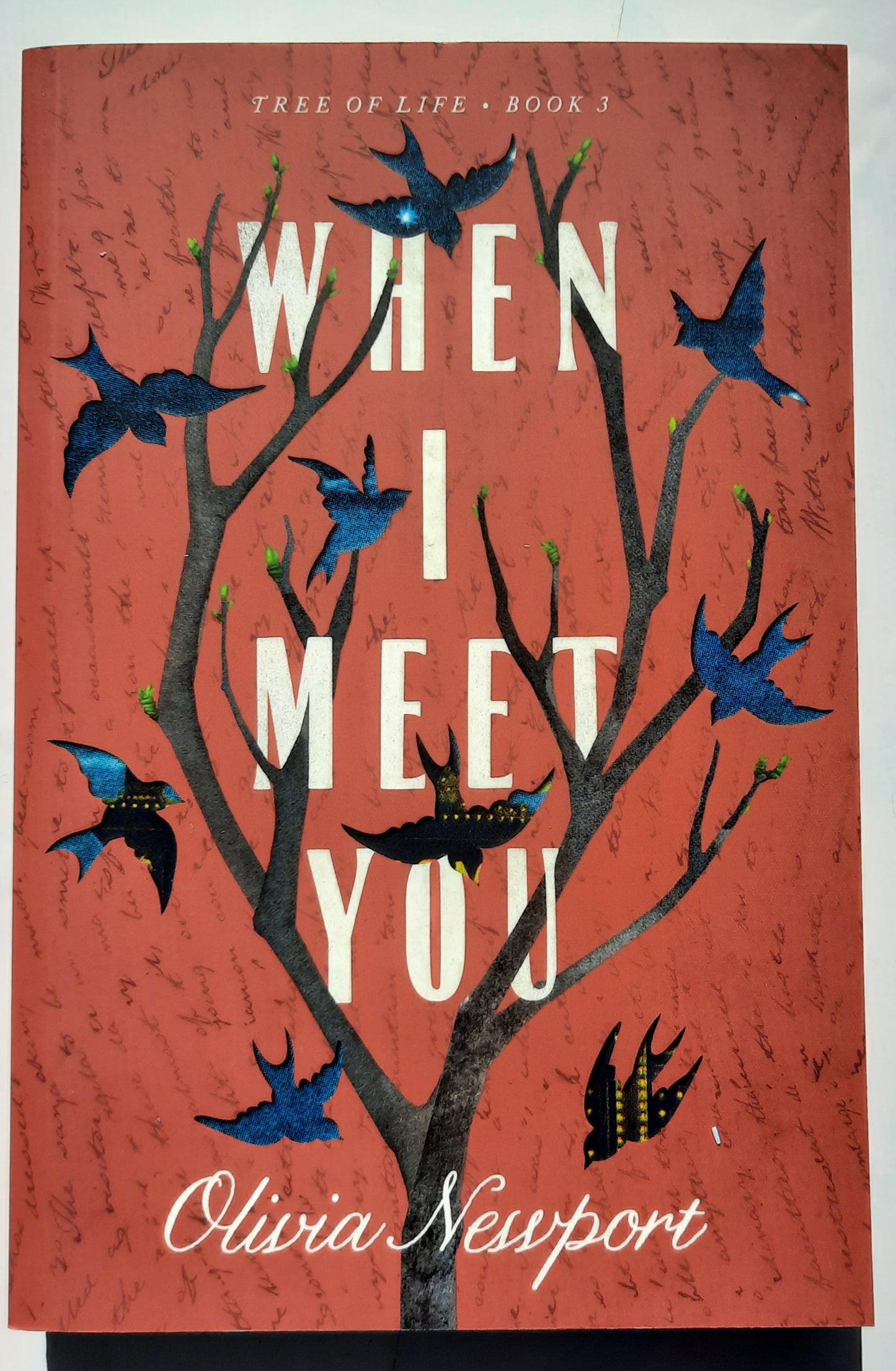 When I Meet You by Olivia Newport (Tree of Life #3, New, 2020, Pbk, 256 pages, Barbour)