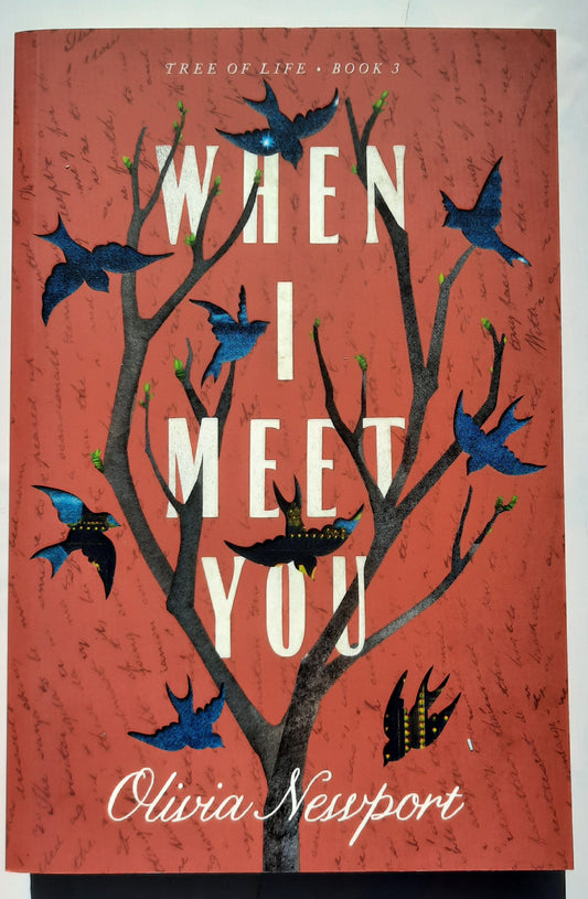 When I Meet You by Olivia Newport (Tree of Life #3, New, 2020, Pbk, 256 pages, Barbour)